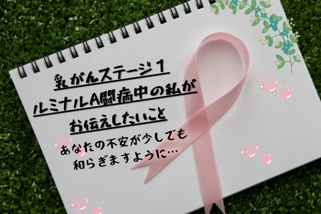 乳がんステージ１　ルミナルA